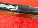 Winchester M 70 Varmit in 243 Winchester - 9 of 14