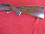 Winchester M 70 Varmit in 243 Winchester - 3 of 14