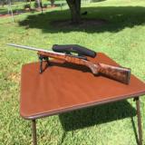 Cooper model 54 VE in 6mm Remington - 1 of 15