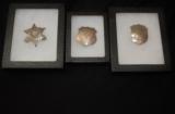 3 RARE NEW MEXICO MARSHAL BADGES - 1 of 8