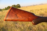 William Ford 3 Inch Wildfowler (Waterfowl Gun) Beautiful Wood - 7 of 14