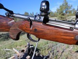 Brno (pre CZ) ZKK 602 .358 Norma Magnum Beautiful Wood Rare Rifle - 14 of 16