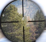 Zeiss Diavari VM 1.5-6x42 T* 30mm Duplex with Integral Mounts - 3 of 6