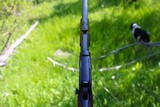 Winchester Model 90 1890 .22 WRF with 1400 Rounds of Ammo - 12 of 20