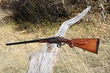 High Quality Pre-War German Double Rifle Converted to .444 Marlin Excellent Condition - 18 of 20