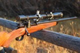 Beautiful Mauser Target Rifle Custom Stock Unertl Scope Excellent Condition .30-06 - 1 of 20