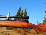 Beautiful Mauser Target Rifle Custom Stock Unertl Scope Excellent Condition .30-06 - 5 of 20