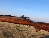 Excellent Custom 98 Mauser Carbine 8x57 Beautiful Wood, Excellent Workmanship! - 4 of 19