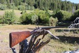 Thomas Horsley (of York) Beautiful 12 Ga Nitro Proof Pull Back Top-lever Bar-Wood Hammergun - 4 of 17