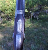 Thomas Horsley (of York) Beautiful 12 Ga Nitro Proof Pull Back Top-lever Bar-Wood Hammergun - 7 of 17