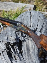 Lefever IE Grade Beautifully Restored, Barrels by Merrington, Stocked by Buck Hamlin - 6 of 15