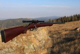 Savage Model 23D .22 Hornet with Vintage Weaver Scope