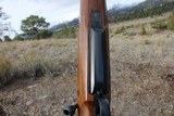 Unfired Custom CZ Brno .416 Rigby Sporter First Rate Workmanship Beautiful Wood - 9 of 17