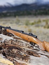 Unfired Custom CZ Brno .416 Rigby Sporter First Rate Workmanship Beautiful Wood - 3 of 17