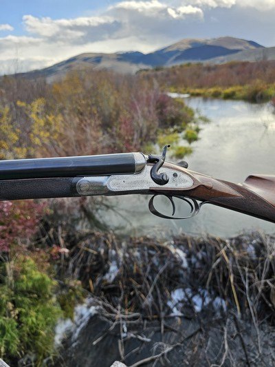 Westley Richards 12 Gauge Nitro Hammergun