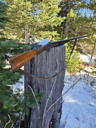 Interesting French Single Shot 16 Gauge Shotgun