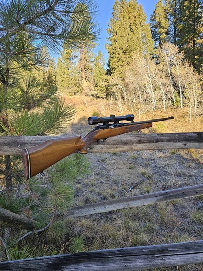 Weatherby Mark XXII .22 Rifle Scoped, Made in Italy