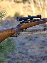 Weatherby Mark XXII .22 Rifle Scoped, Made in Italy - 3 of 11