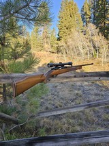 Weatherby Mark XXII .22 Rifle Scoped, Made in Italy