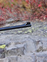 Albert Barnes (of Ulverston, England) Single Shot 7x57R Rifle with Zeiss Scope and Extra 16 Gauge Barrel - 9 of 20