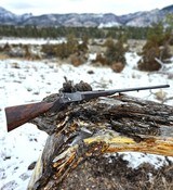 Greener Deluxe Martini Sporting Rifle .577/450 Excellent Condition Fabulous Wood - 2 of 18