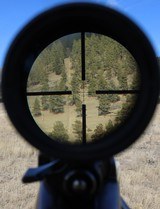 Custom FN 98 Mauser Barreled by Bliss Titus in .25 Souper (.25-.308, .25-08) with Meopta Scope, Dies and Brass - 7 of 16