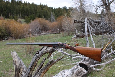 AyA No. 2 Holland & Holland Style Hand-Detachable 12 Ga Sidelock Ejector Excellent Condition - Image 4 of 18