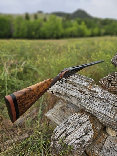 Marcel Donckier (of Liège, Belgium) Cased Best Grade 12 Bore Sidelock Ejector Fabulous Condition - Image 6 of 16