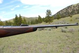 William Evans Mannlicher-Schoenauer .256 Mannlicher (6.5x54) 27 1/2