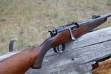 William Evans Mannlicher-Schoenauer .256 Mannlicher (6.5x54) 27 1/2