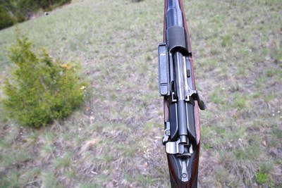 William Evans Mannlicher-Schoenauer .256 Mannlicher (6.5x54) 27 1/2