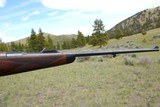 William Evans Mannlicher-Schoenauer .256 Mannlicher (6.5x54) 27 1/2