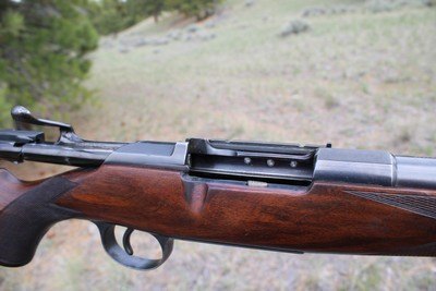 William Evans Mannlicher-Schoenauer .256 Mannlicher (6.5x54) 27 1/2