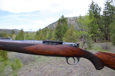 William Evans Mannlicher-Schoenauer .256 Mannlicher (6.5x54) 27 1/2