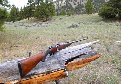 William Evans Mannlicher-Schoenauer .256 Mannlicher (6.5x54) 27 1/2