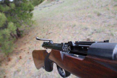 William Evans Mannlicher-Schoenauer .256 Mannlicher (6.5x54) 27 1/2