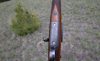William Evans Mannlicher-Schoenauer .256 Mannlicher (6.5x54) 27 1/2
