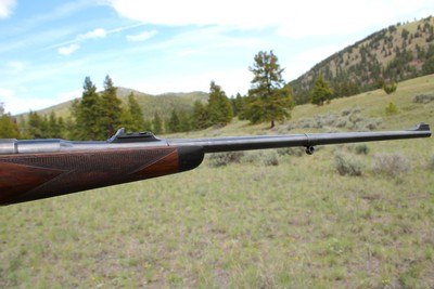 William Evans Mannlicher-Schoenauer .256 Mannlicher (6.5x54) 27 1/2