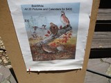 Calendars and Reproduction Peters - Image 15 of 15