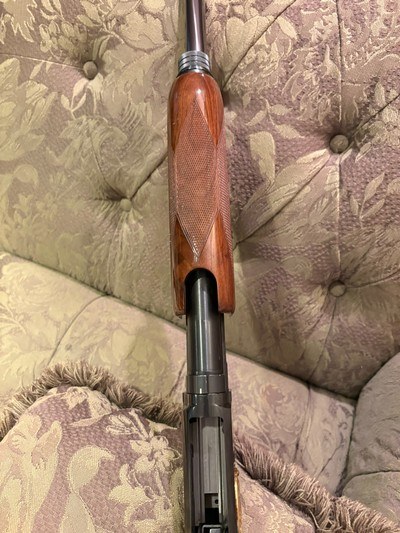 Browning BPS Ducks Unlimited 12 Gage Limited. - Image 14 of 15