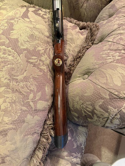 Browning BPS Ducks Unlimited 12 Gage Limited. - Image 12 of 15