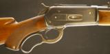 Winchester Model 71 .348 W.C.F. - 4 of 15