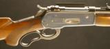 Winchester Model 71 .348 W.C.F. - 3 of 15