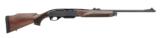 Remington 750 Woodsmaster in .243 / 22