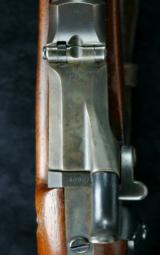 Springfield Model 1884 