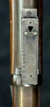 Springfield Trapdoor 1884 SRC - 11 of 14