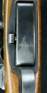 Swiss Schmidt-Rubin Model 1931 Rifle - 13 of 13