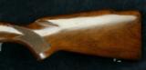 Winchester Model 70 Varmint - 4 of 14
