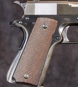 Colt Ace - 9 of 13