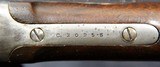 Sharps "Black Hills Special" Rifle - 8 of 15